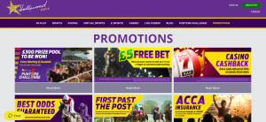 hollywoodbets