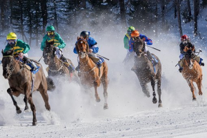 Horse-racing