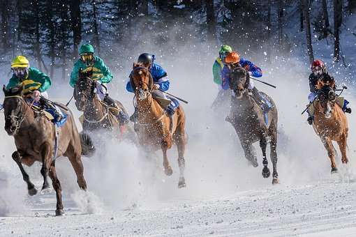 Horse racing betting sport