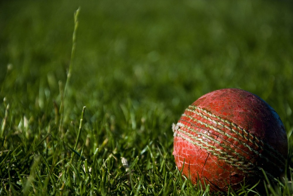 Close up of a red kookaburra ball in the grass