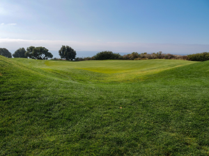 a green golf course