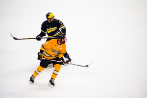 Hockey players playing inside a rink