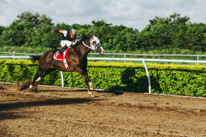 jockey-riding-horse-at-rally