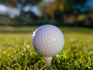 A golf ball on the grass