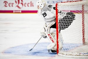 Goal-keeper-in-the-rink