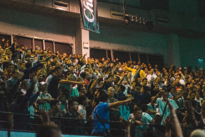 sports-fans-stands