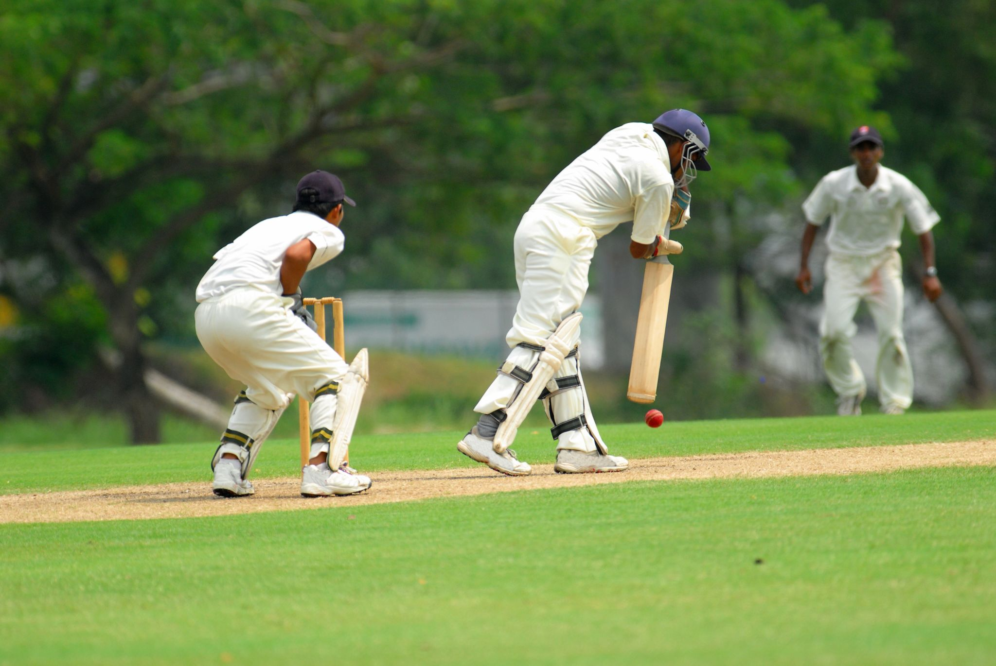Cricket batsmen during a game