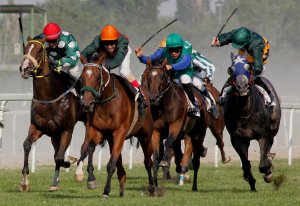 people riding horses