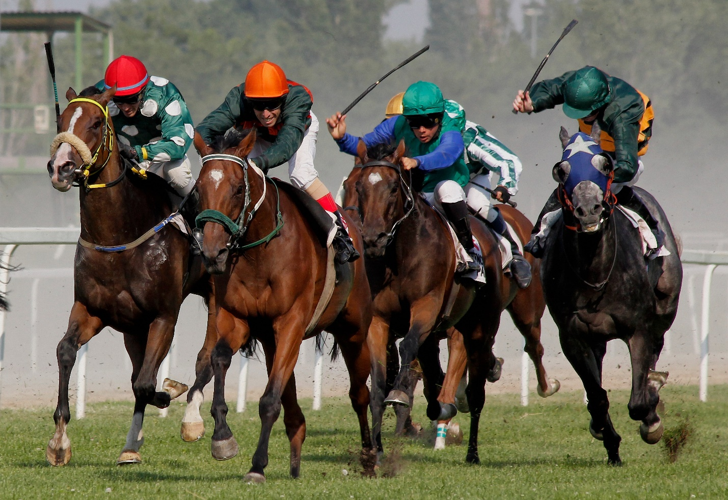people riding horses