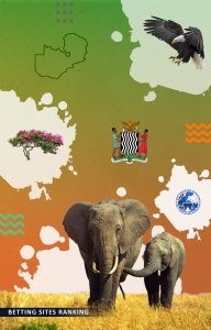 zambia-mobile