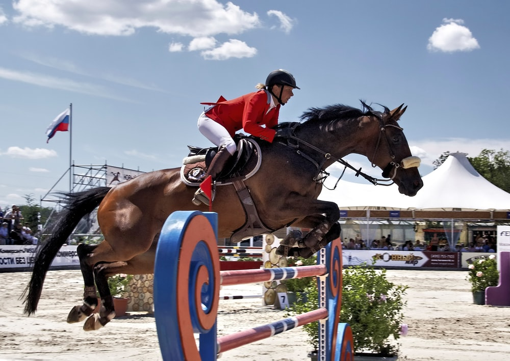 A horse jumping over a hurdle