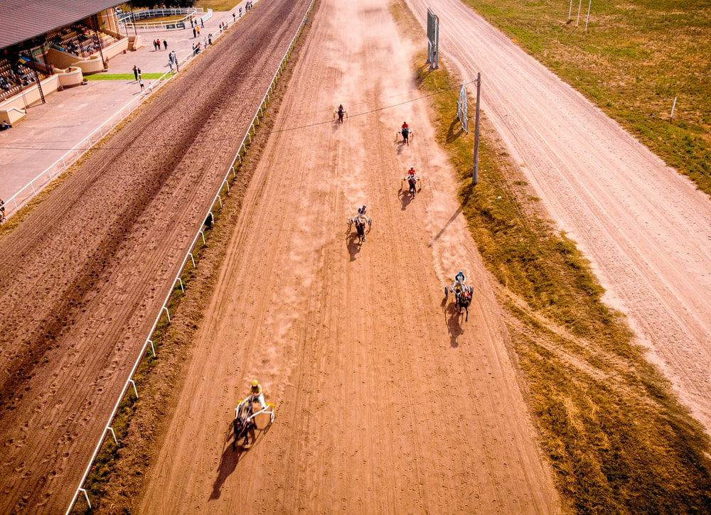 Horses on a track