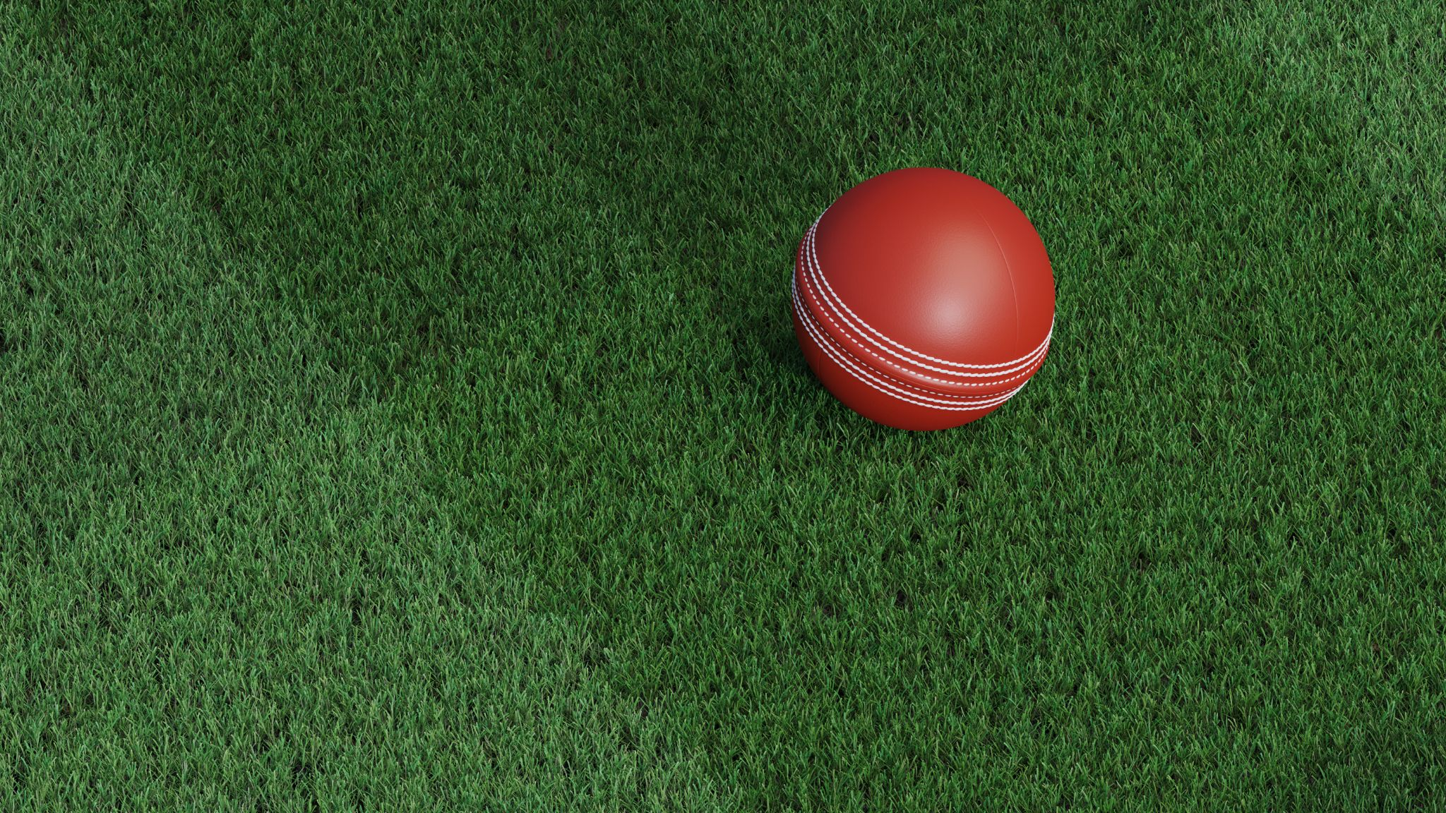 A cricket ball on the ground