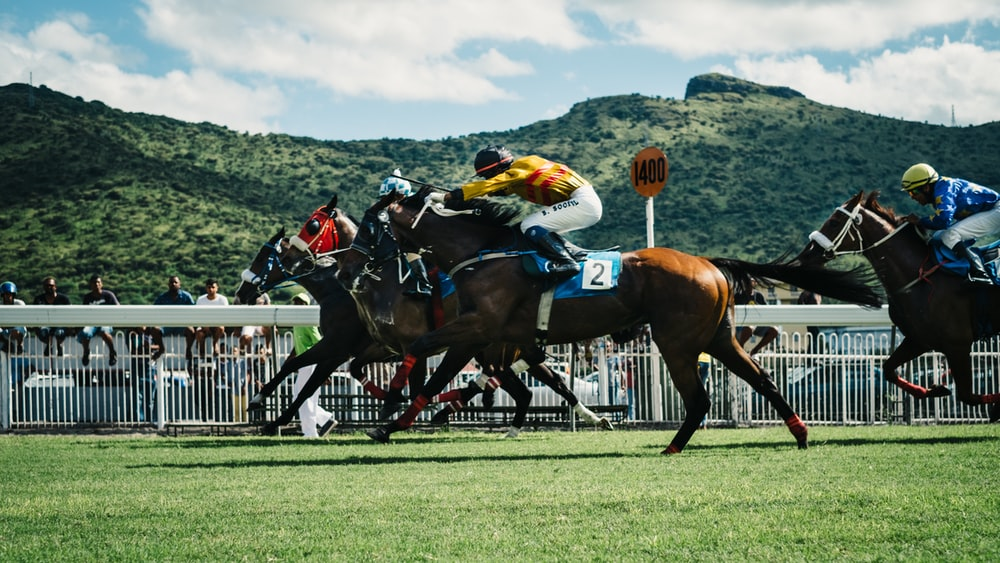 Riders on their horses