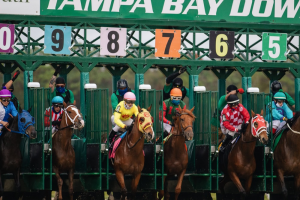 Horses at the start line