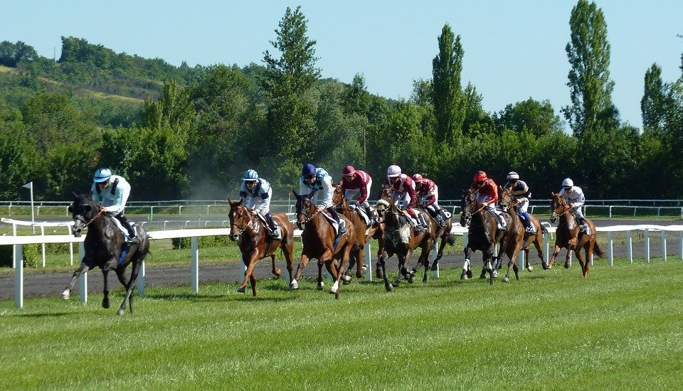 a horse race