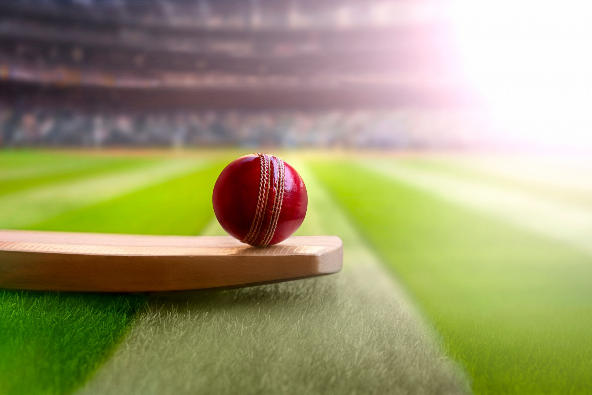 A cricket ball resting on the bat