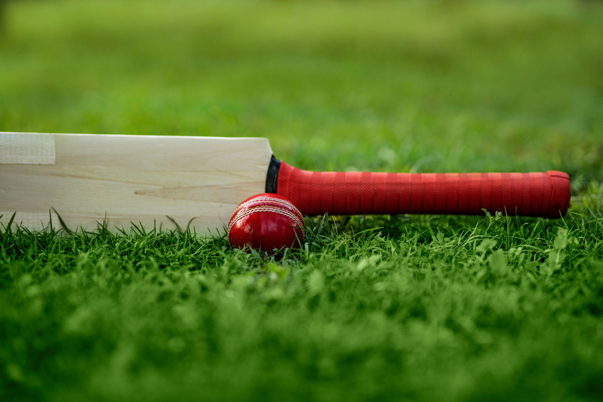 A leather cricket ball next to a cricket bat on grass