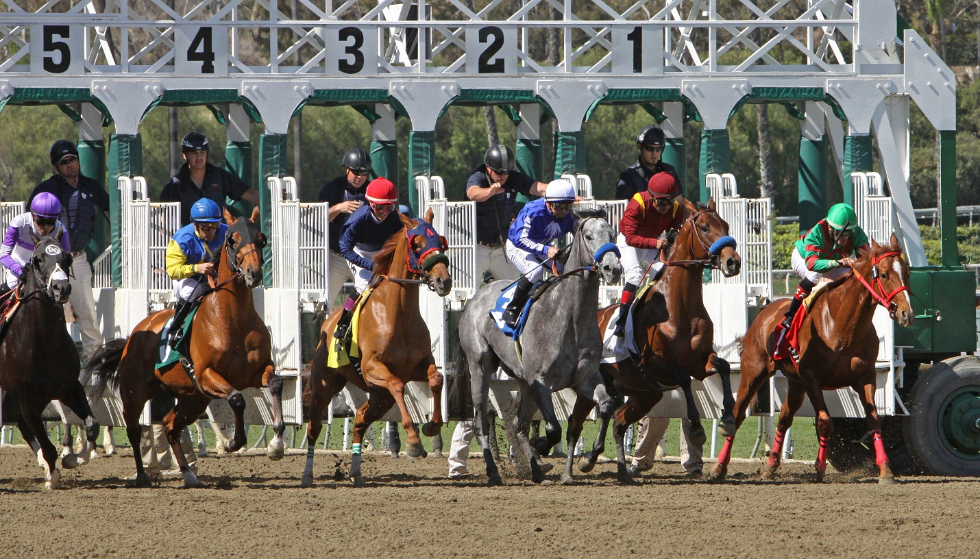 horse racing starting
