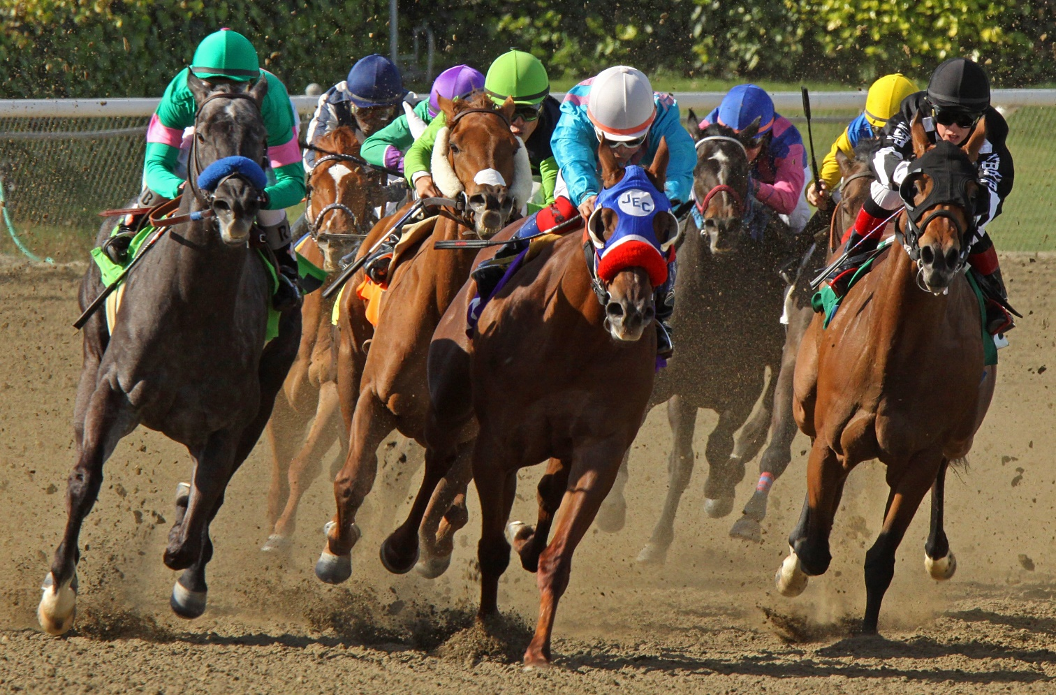 betting-on-horses