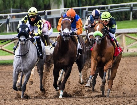 Three horses during a race