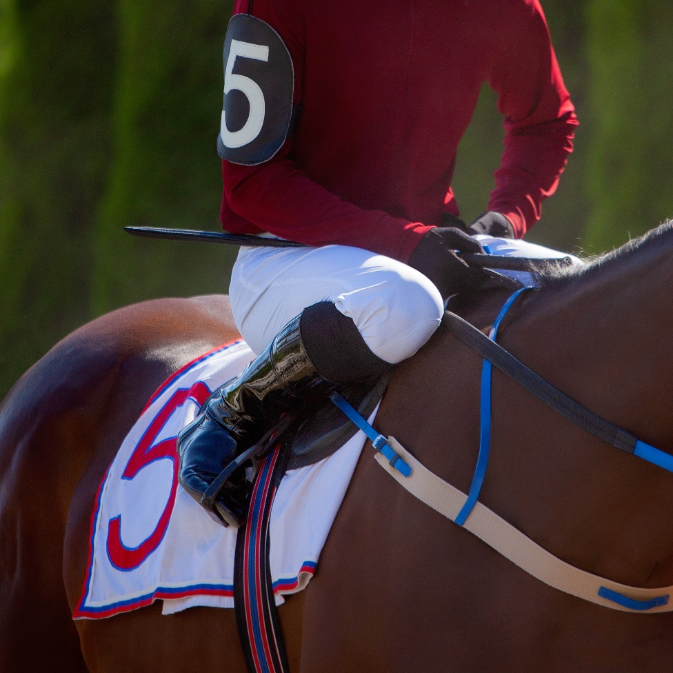 A jockey riding his horse
