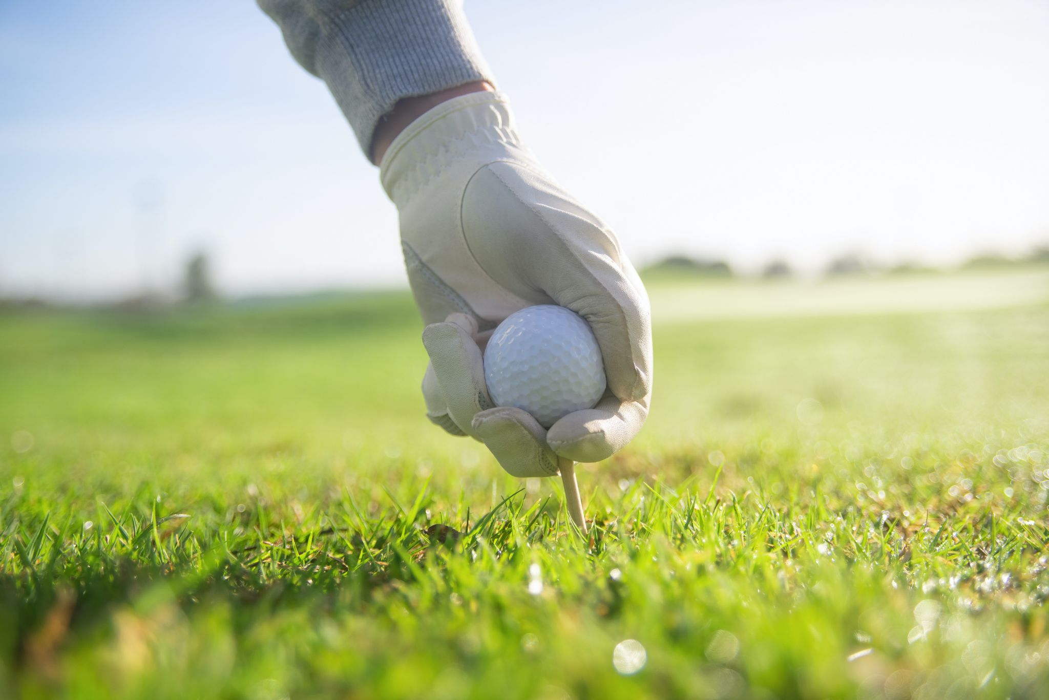 A golf ball on green grass