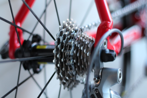 Gears on a racing cycle