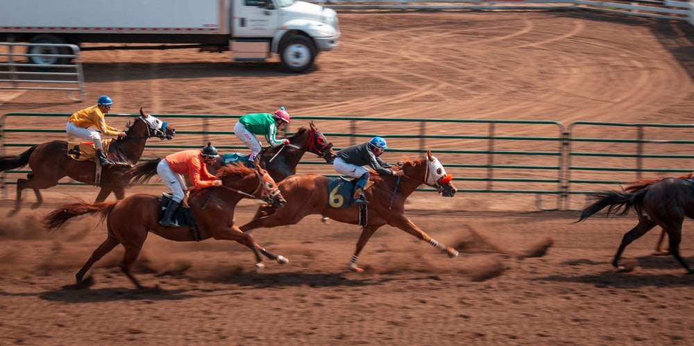 Horses in a race