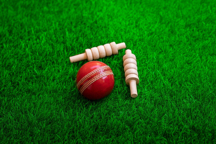 a cricket ball and bails