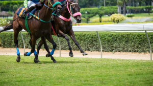 Two jockeys competing
