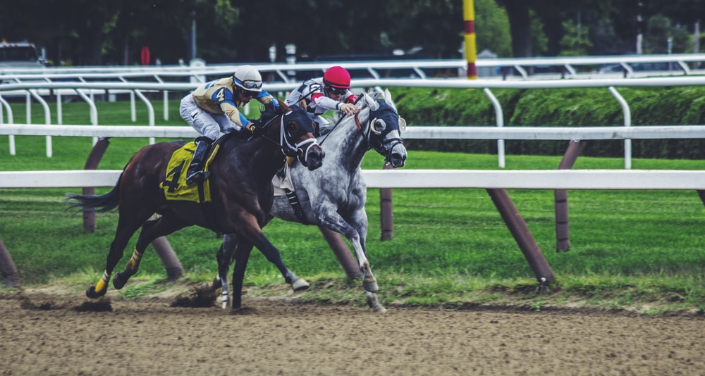 A couple of horses racing against one another