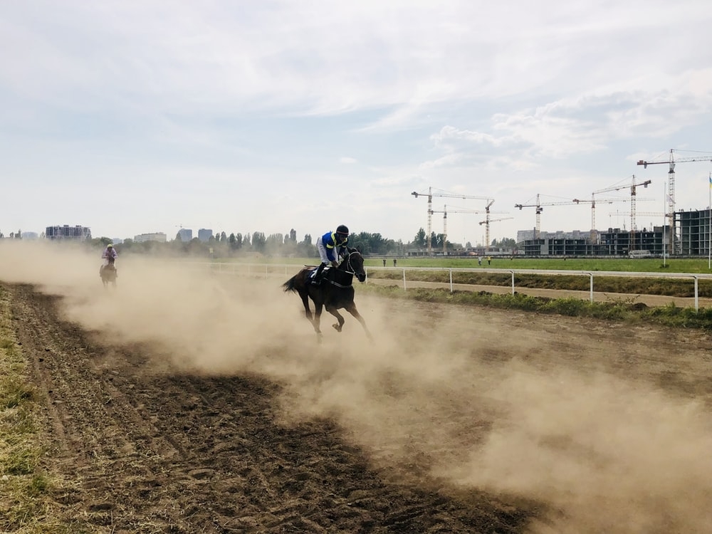 A horse running on a race course