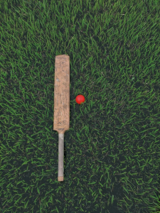 a cricket bat and ball on green grass