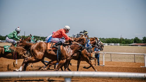 Horse-racing