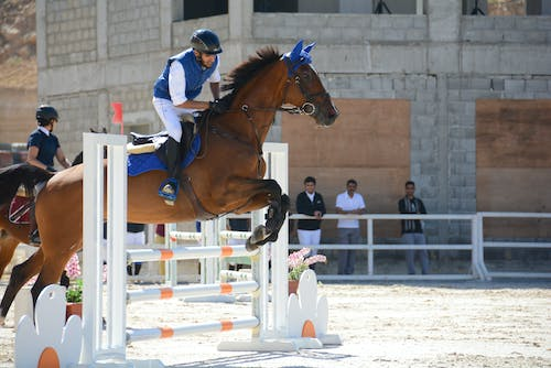  A brown horse jumping over an obstacle