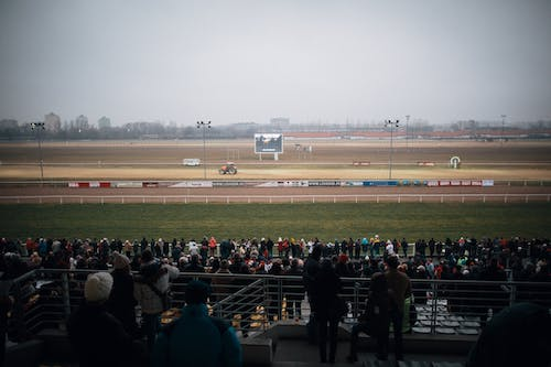 Horse racing course