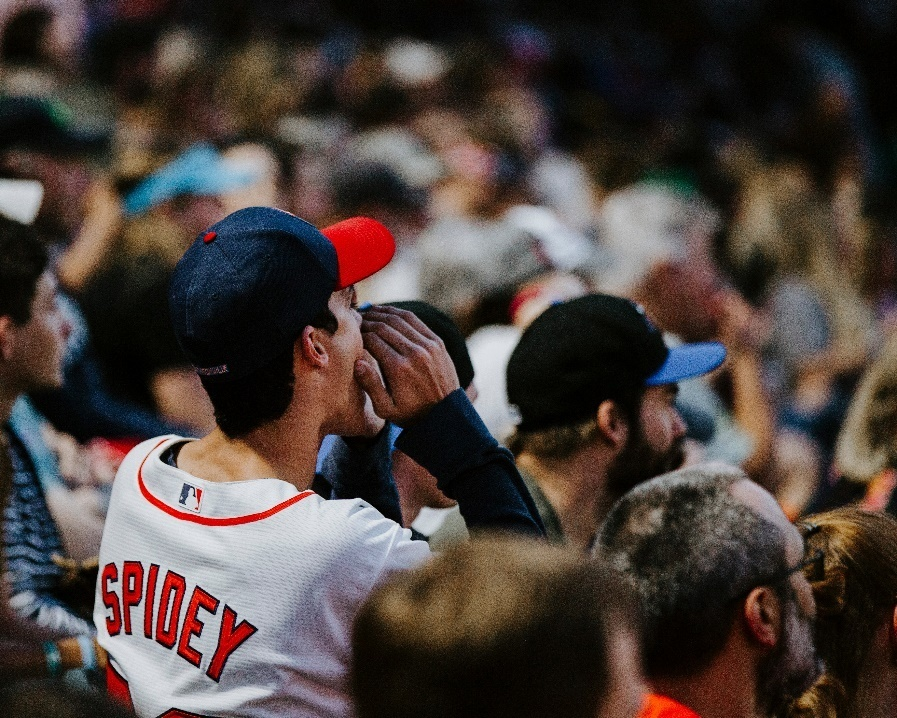 A sports fan at a stadium