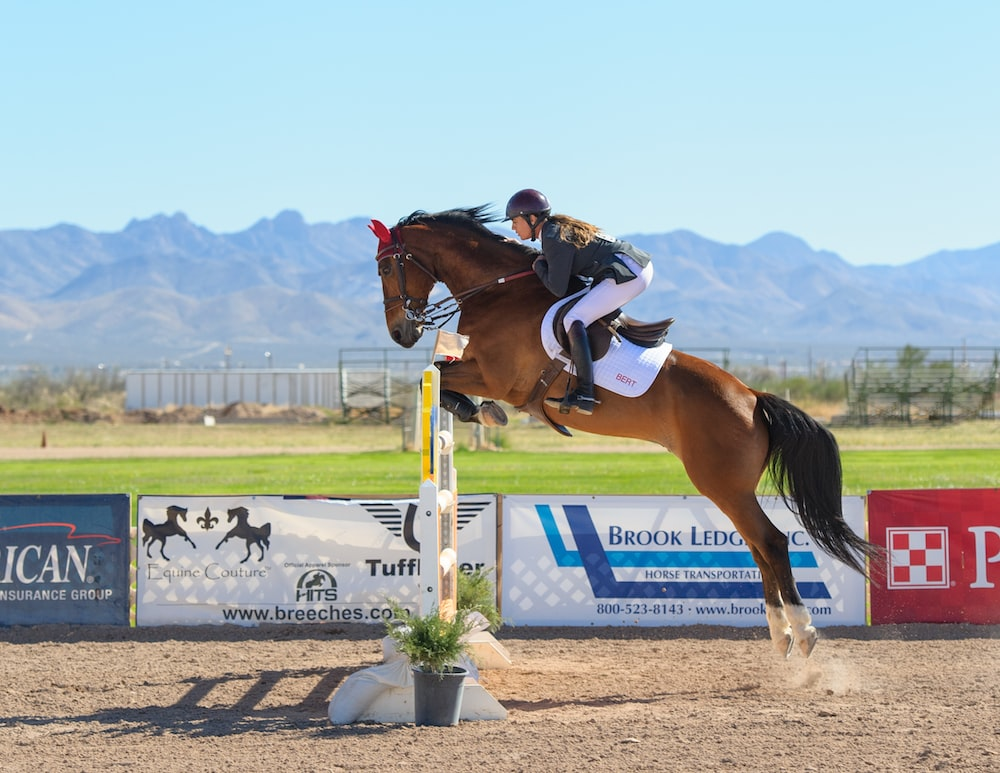 Horse jumping a hurdle