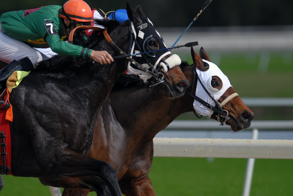 A jockey riding fiercely on a black horse