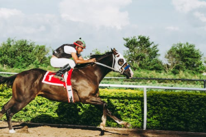 A jockey on a horse
