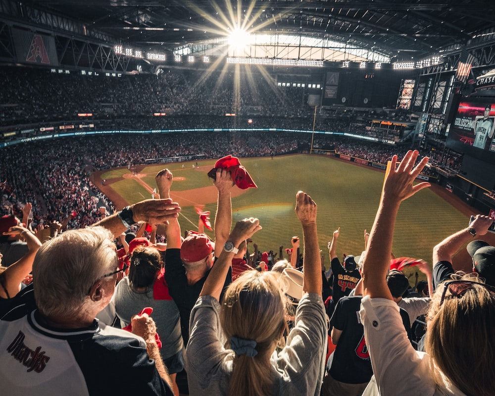 Fans cheering in a baseball stadium