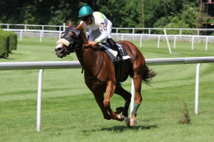 Man on a racing horse